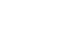 Brains Up Analytics